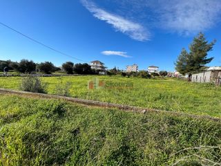 Οικόπεδο 1.115 τ.μ. για πώληση, Μεσσηνία, Μεσσήνη-thumb-5