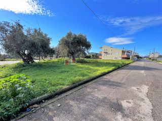 Οικόπεδο 460 τ.μ. για πώληση, Μεσσηνία, Μεσσήνη-thumb-16
