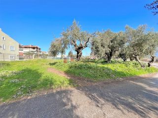 Οικόπεδο 460 τ.μ. για πώληση, Μεσσηνία, Μεσσήνη-thumb-4