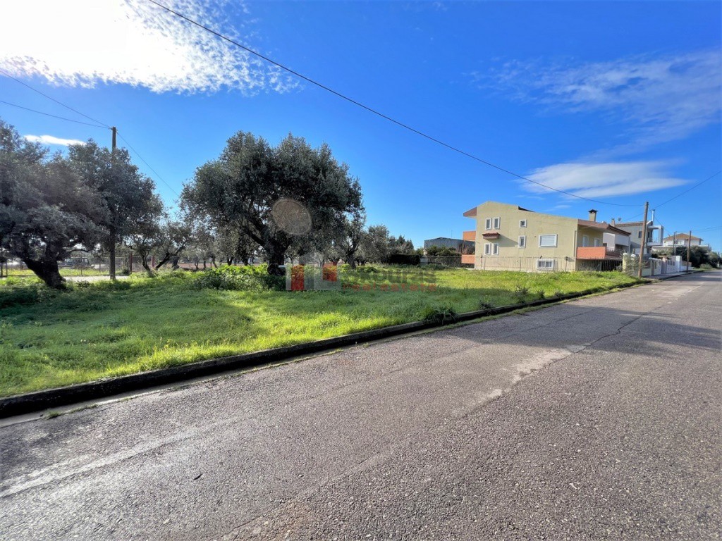 Οικόπεδο 460 τ.μ. προς πώληση, Μεσσήνη
