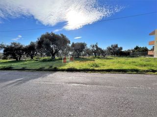 Οικόπεδο 460 τ.μ. για πώληση, Μεσσηνία, Μεσσήνη-thumb-13