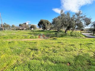 Οικόπεδο 460 τ.μ. για πώληση, Μεσσηνία, Μεσσήνη-thumb-5