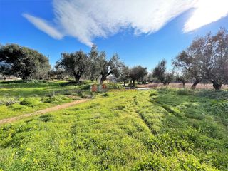 Οικόπεδο 460 τ.μ. για πώληση, Μεσσηνία, Μεσσήνη-thumb-6