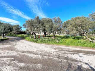 Οικόπεδο 460 τ.μ. για πώληση, Μεσσηνία, Μεσσήνη-thumb-1