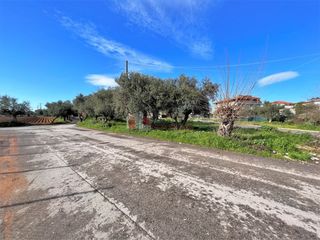 Οικόπεδο 460 τ.μ. για πώληση, Μεσσηνία, Μεσσήνη-thumb-17