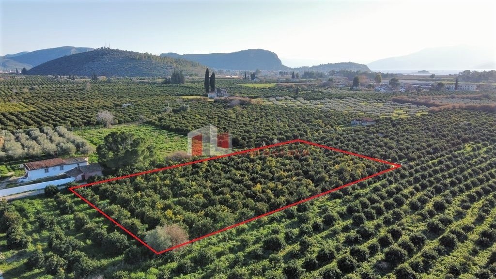 Αγροτεμάχια 4.000 τ.μ. προς πώληση, Τίρυνθα