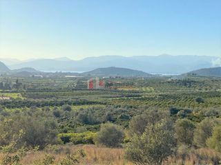Αγροτεμάχια 7.600 τ.μ. για πώληση, Αργολίδα, Ναύπλιο-thumb-23