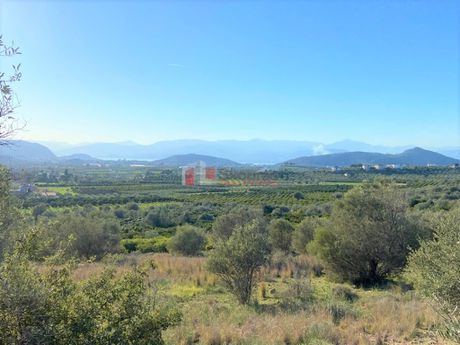 Αγροτεμάχια 7.600 τ.μ. για πώληση