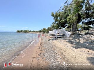 Βίλλα 480 τ.μ. για πώληση, Μεσσηνία, Αίπεια-thumb-8