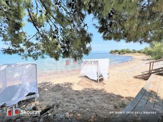 Βίλλα 480 τ.μ. για πώληση, Μεσσηνία, Αίπεια-thumb-7