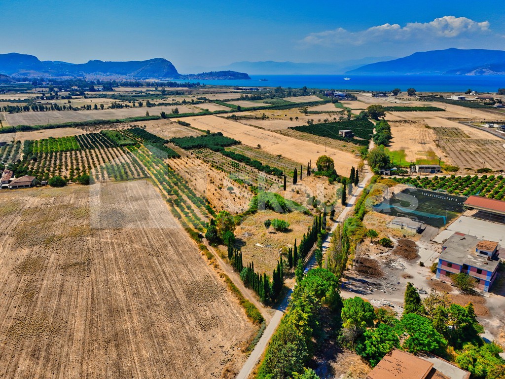 Αγροτεμάχια 6.200 τ.μ. προς πώληση, Τίρυνθα