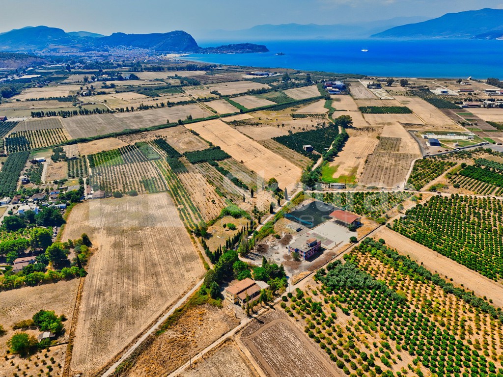 Αγροτεμάχια 6.200 τ.μ. προς πώληση, Τίρυνθα