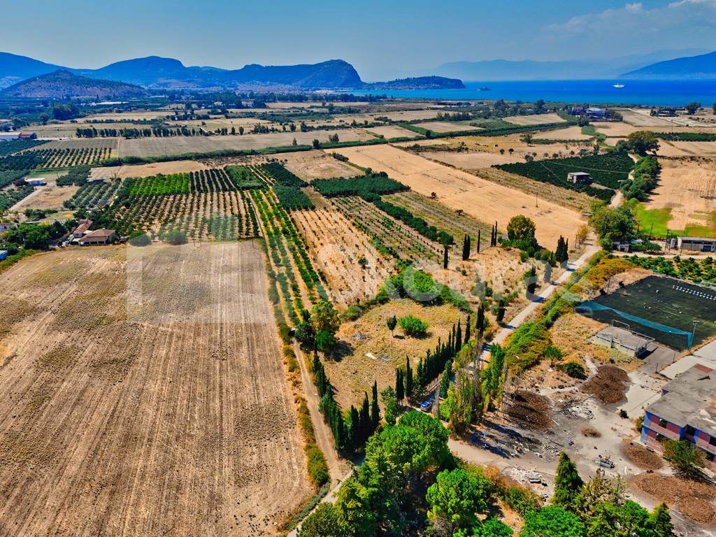 Αγροτεμάχια 6.200 τ.μ. προς πώληση, Τίρυνθα