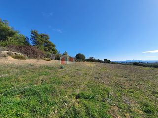Αγροτεμάχια 41.000 τ.μ. για πώληση, Αργολίδα, Κρανίδι-thumb-12