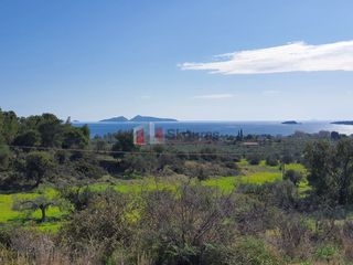 Αγροτεμάχια 41.000 τ.μ. για πώληση, Αργολίδα, Κρανίδι-thumb-19