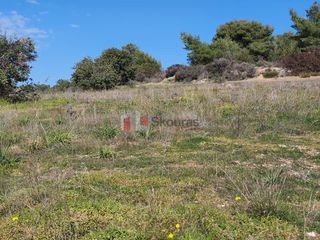 Αγροτεμάχια 41.000 τ.μ. για πώληση, Αργολίδα, Κρανίδι-thumb-17