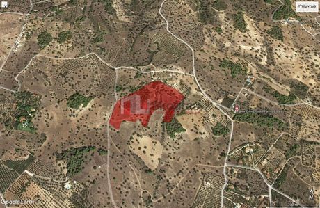 Αγροτεμάχια 41.000 τ.μ. για πώληση