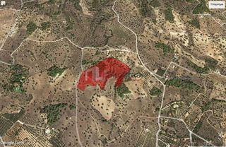 Αγροτεμάχια 41.000 τ.μ. για πώληση