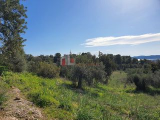 Αγροτεμάχια 41.000 τ.μ. για πώληση, Αργολίδα, Κρανίδι-thumb-23