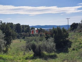 Αγροτεμάχια 41.000 τ.μ. για πώληση, Αργολίδα, Κρανίδι-thumb-22