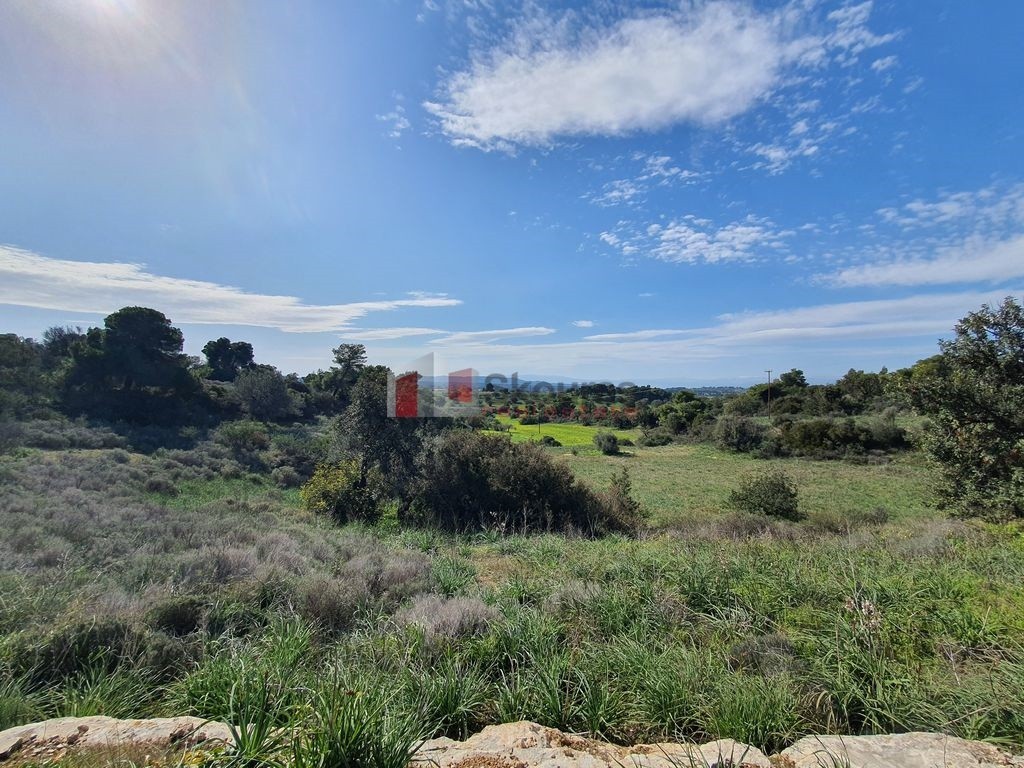 Αγροτεμάχια 41.000 τ.μ. προς πώληση, Κρανίδι