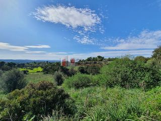 Αγροτεμάχια 41.000 τ.μ. για πώληση, Αργολίδα, Κρανίδι-thumb-21