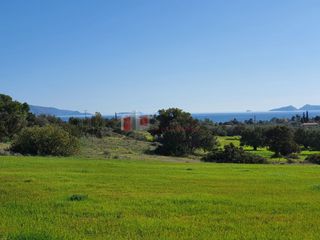 Αγροτεμάχια 41.000 τ.μ. για πώληση, Αργολίδα, Κρανίδι-thumb-16