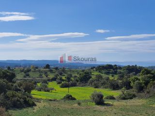 Αγροτεμάχια 41.000 τ.μ. για πώληση, Αργολίδα, Κρανίδι-thumb-5