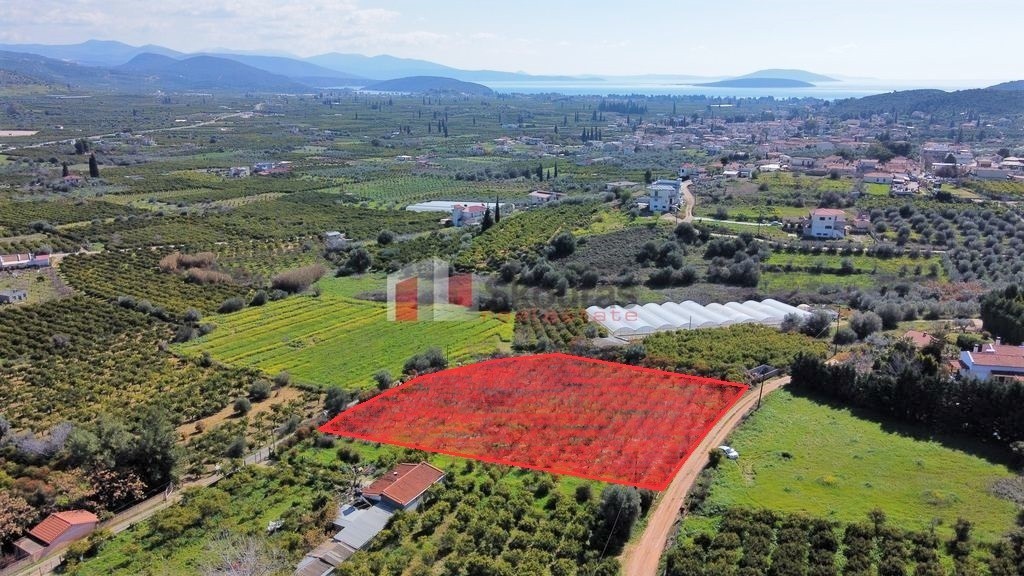 Αγροτεμάχια 4.500 τ.μ. προς πώληση, Αγία Παρασκευή Ασίνης