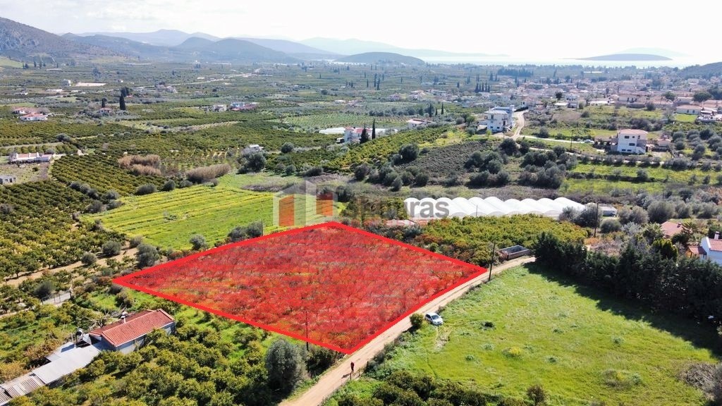 Αγροτεμάχια 4.500 τ.μ. προς πώληση, Αγία Παρασκευή Ασίνης