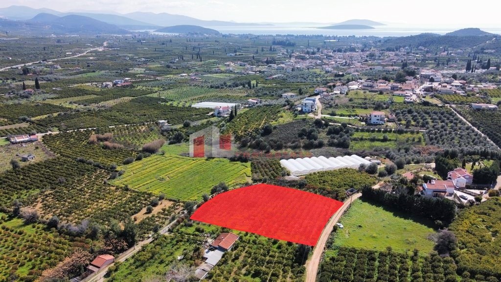 Αγροτεμάχια 4.500 τ.μ. προς πώληση, Αγία Παρασκευή Ασίνης
