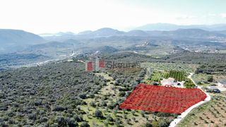 Αγροτεμάχια 5.104 τ.μ. για πώληση, Αργολίδα, Ναύπλιο-thumb-15