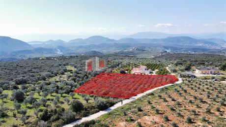 Αγροτεμάχια 5.104 τ.μ. για πώληση