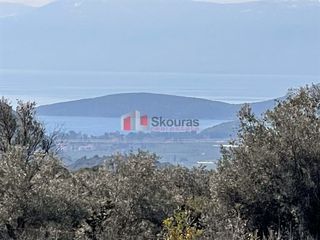 Αγροτεμάχια 5.104 τ.μ. για πώληση, Αργολίδα, Ναύπλιο-thumb-4