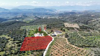 Αγροτεμάχια 5.104 τ.μ. για πώληση, Αργολίδα, Ναύπλιο-thumb-2