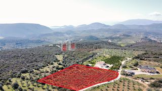 Αγροτεμάχια 5.104 τ.μ. για πώληση, Αργολίδα, Ναύπλιο-thumb-12