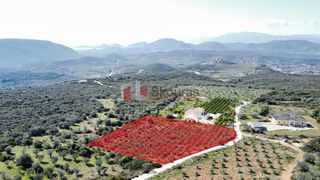 Αγροτεμάχια 5.104 τ.μ. για πώληση, Αργολίδα, Ναύπλιο-thumb-14