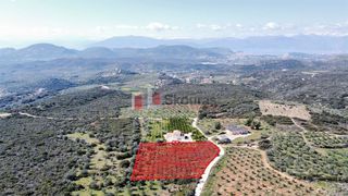 Αγροτεμάχια 5.104 τ.μ. για πώληση, Αργολίδα, Ναύπλιο-thumb-19