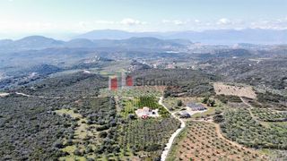 Αγροτεμάχια 5.104 τ.μ. για πώληση, Αργολίδα, Ναύπλιο-thumb-9