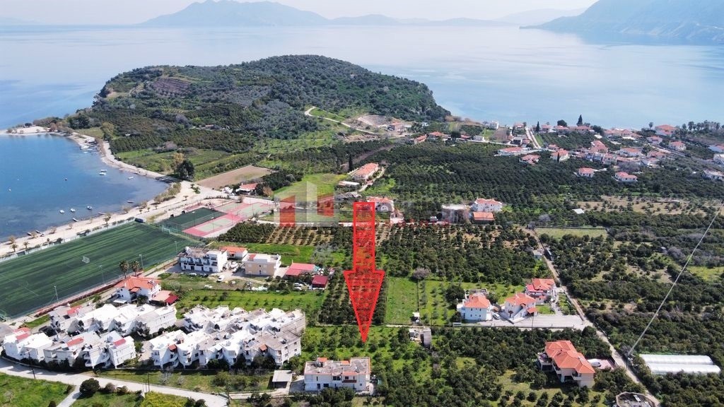 Αγροτεμάχια 2.028 τ.μ. προς πώληση, Αρχαία Επίδαυρος