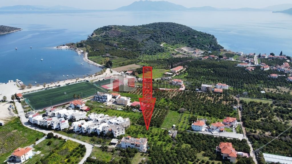 Αγροτεμάχια 2.028 τ.μ. προς πώληση, Αρχαία Επίδαυρος