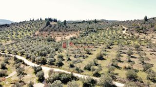 Μονοκατοικία 140 τ.μ. προς πώληση, Λευκάκια-thumb-24