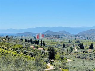 Αγροτεμάχια 5.000 τ.μ. για πώληση, Αργολίδα, Ναύπλιο-thumb-21