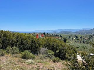 Αγροτεμάχια 5.000 τ.μ. για πώληση, Αργολίδα, Ναύπλιο-thumb-16