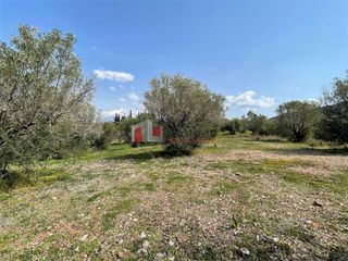 Αγροτεμάχια 5.000 τ.μ. για πώληση, Αργολίδα, Ναύπλιο-thumb-13