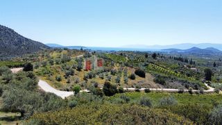 Αγροτεμάχια 5.000 τ.μ. για πώληση, Αργολίδα, Ναύπλιο-thumb-8