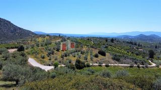 Αγροτεμάχια 5.000 τ.μ. για πώληση, Αργολίδα, Ναύπλιο-thumb-9