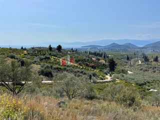 Αγροτεμάχια 5.000 τ.μ. για πώληση, Αργολίδα, Ναύπλιο-thumb-14