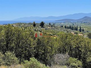 Αγροτεμάχια 5.000 τ.μ. για πώληση, Αργολίδα, Ναύπλιο-thumb-5