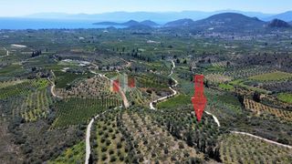 Αγροτεμάχια 5.000 τ.μ. για πώληση, Αργολίδα, Ναύπλιο-thumb-4
